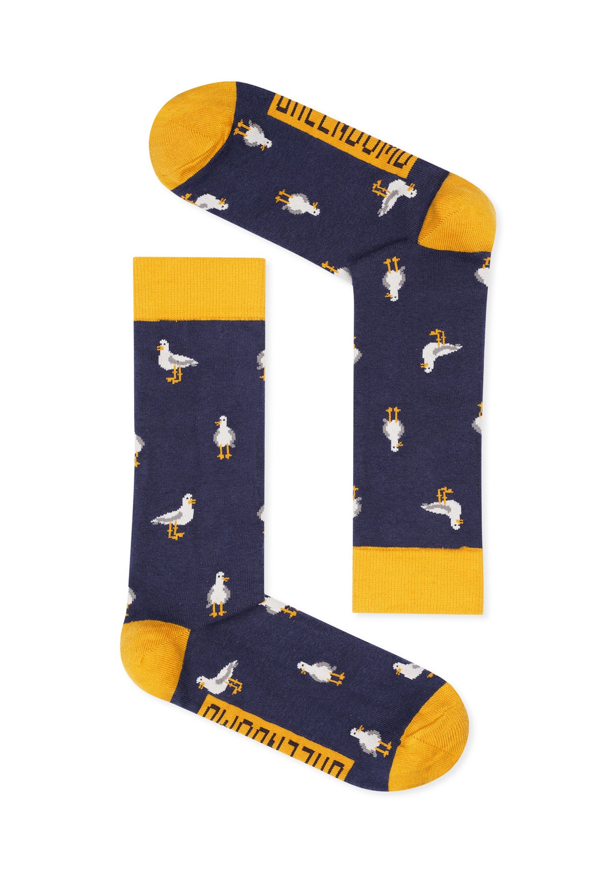 Grün:  Lässige Socken aus Bio-Baumwoll Mix für Unisex [16550]