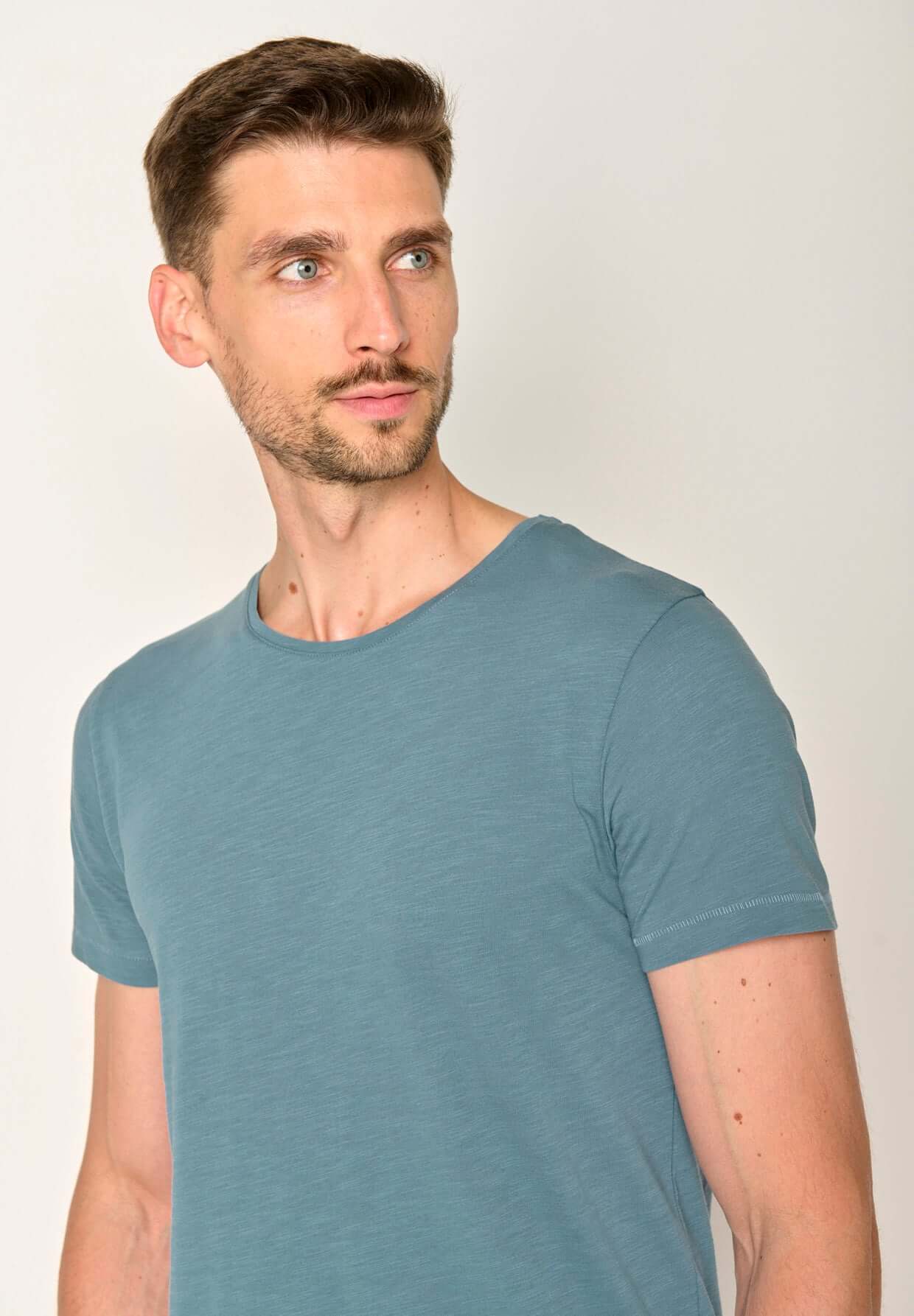 Blau:  Lässiges T-Shirt aus Bio-Baumwolle für Herren [17572]