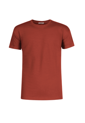 Grau:  Lässiges T-Shirt aus Bio-Baumwoll Mix für Herren [19194]