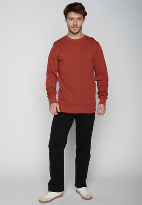 Grau:  Gemütliches Sweatshirt aus Bio-Baumwolle für Herren [19280]