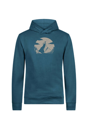Blau:  Kuschliger Hoodie aus Bio-Baumwolle für Herren [19787]