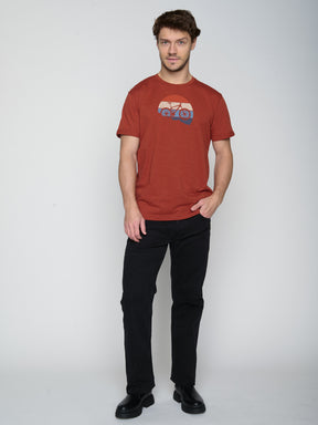 Grau:  Lässiges T-Shirt aus Bio-Baumwoll Mix für Herren [22877]