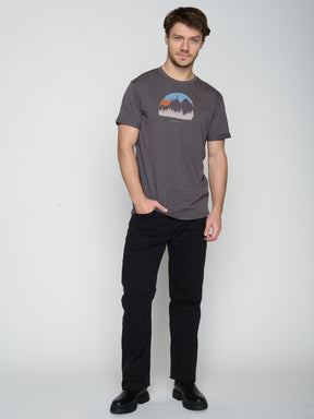 Grau:  Lässiges T-Shirt aus Bio-Baumwoll Mix für Herren [23013]