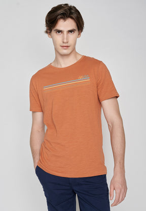Orang:  Lässiges T-Shirt aus Bio-Baumwolle für Herren [6828]