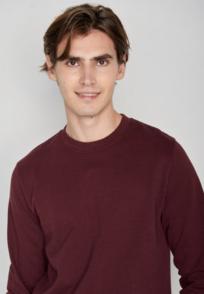 Velvet Rain: Gemütliches Sweatshirt aus Bio-Baumwolle für Herren [7145]