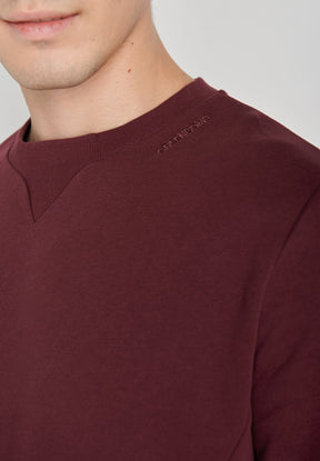 Velvet Rain: Lässiges Sweatshirt aus Bio-Baumwolle für Herren [7219]