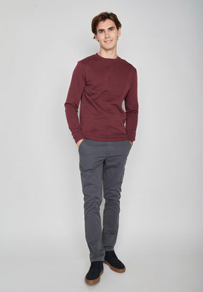 Velvet Rain: Lässiges Sweatshirt aus Bio-Baumwolle für Herren [7223]