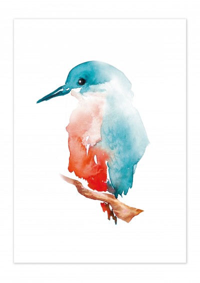 Animal Kingfisher Poster