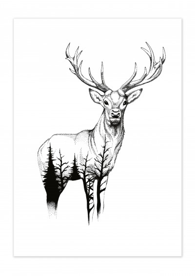 Animal Wild Life Deer Poster