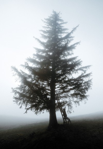 Nature Tree Dream Poster