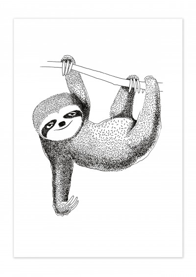 Animal Sloth Poster