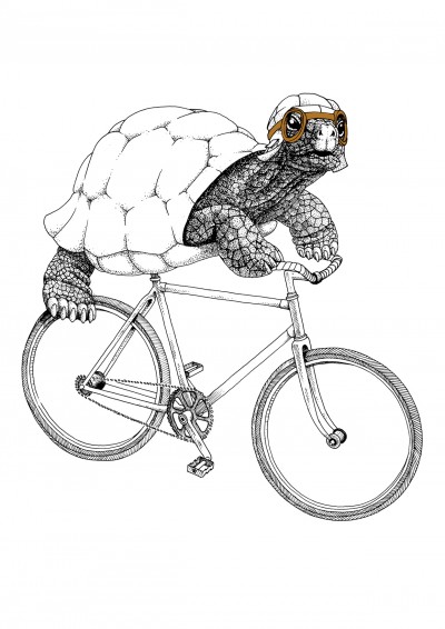 Bike Turtle Poster
