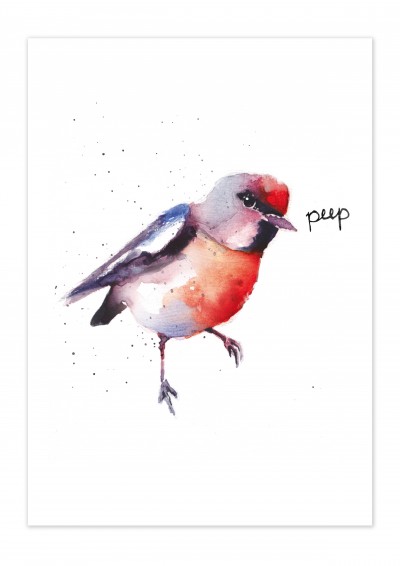 Animal Bird Peep Poster